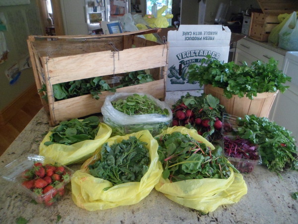 BRACCO_CSA-Box