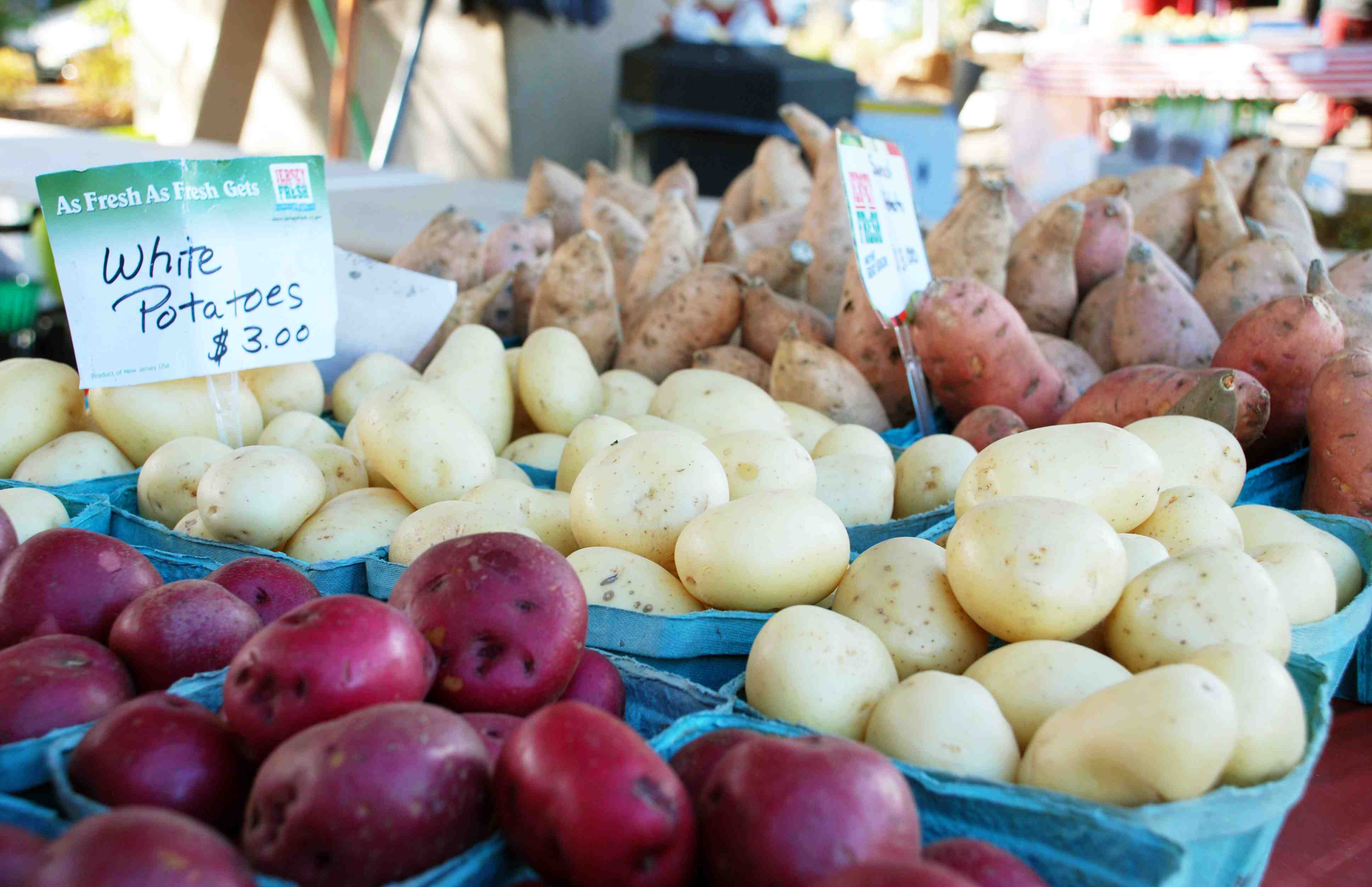 Potatoes - variety 1