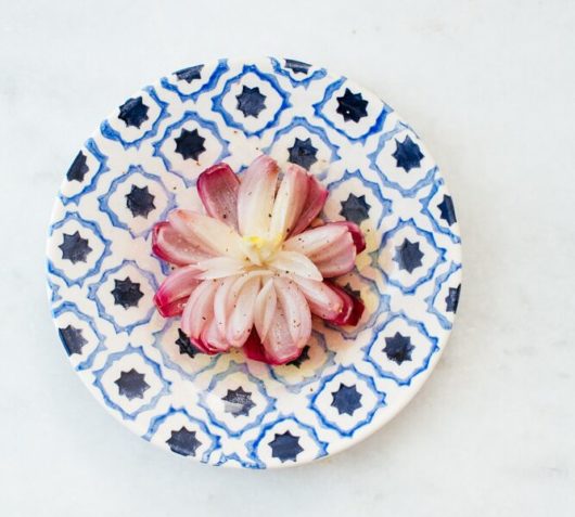 Red Onion Blossoms, Onions Etcetera, Kate Winslow, Guy Ambrosino, Recipe, Jersey Bites